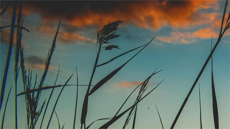 Foto 4 Producto prueba  test