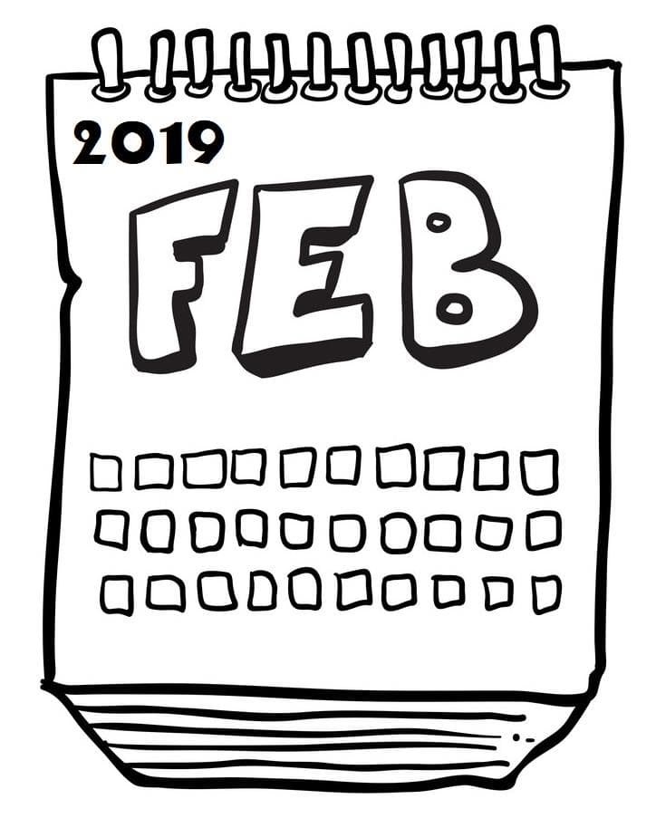 Selección Web de Febrero 2019