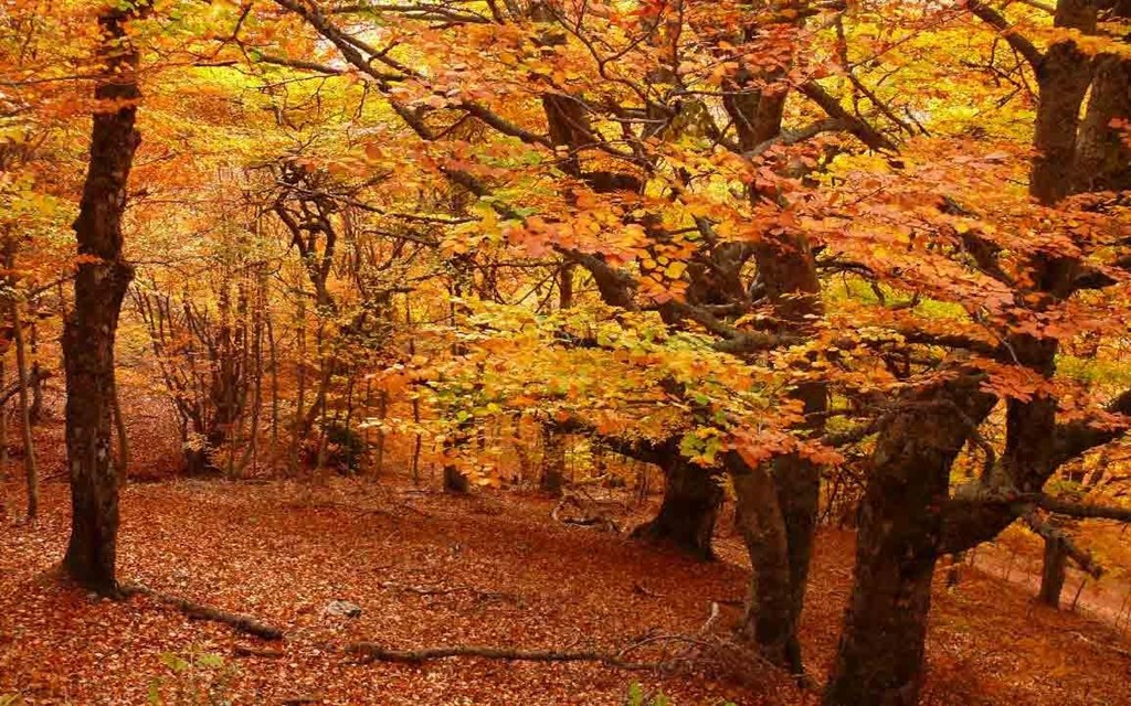 Temas para reunión en septiembre 2019